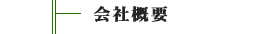 ЊTv